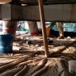 Picture of underside of pier concrete deck, taken from scaffolding directly under the pile cap